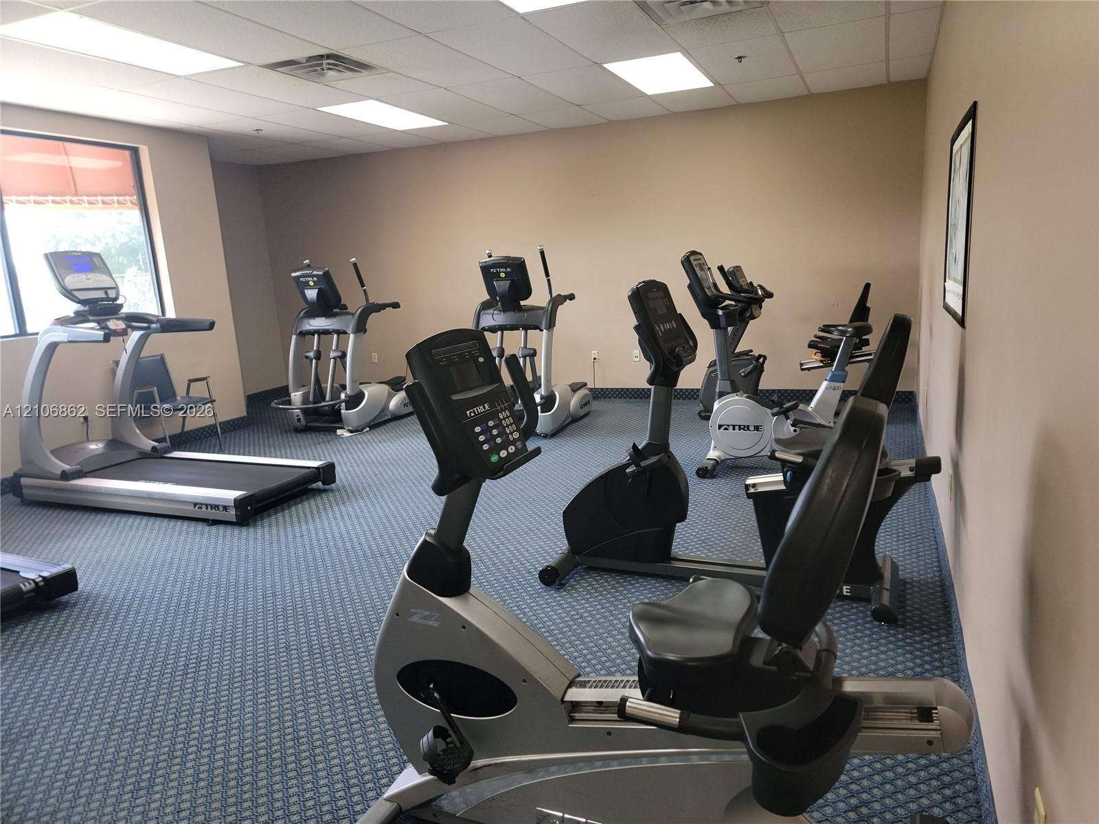 Fitness room featuring carpeted flooring and recessed ceiling lighting