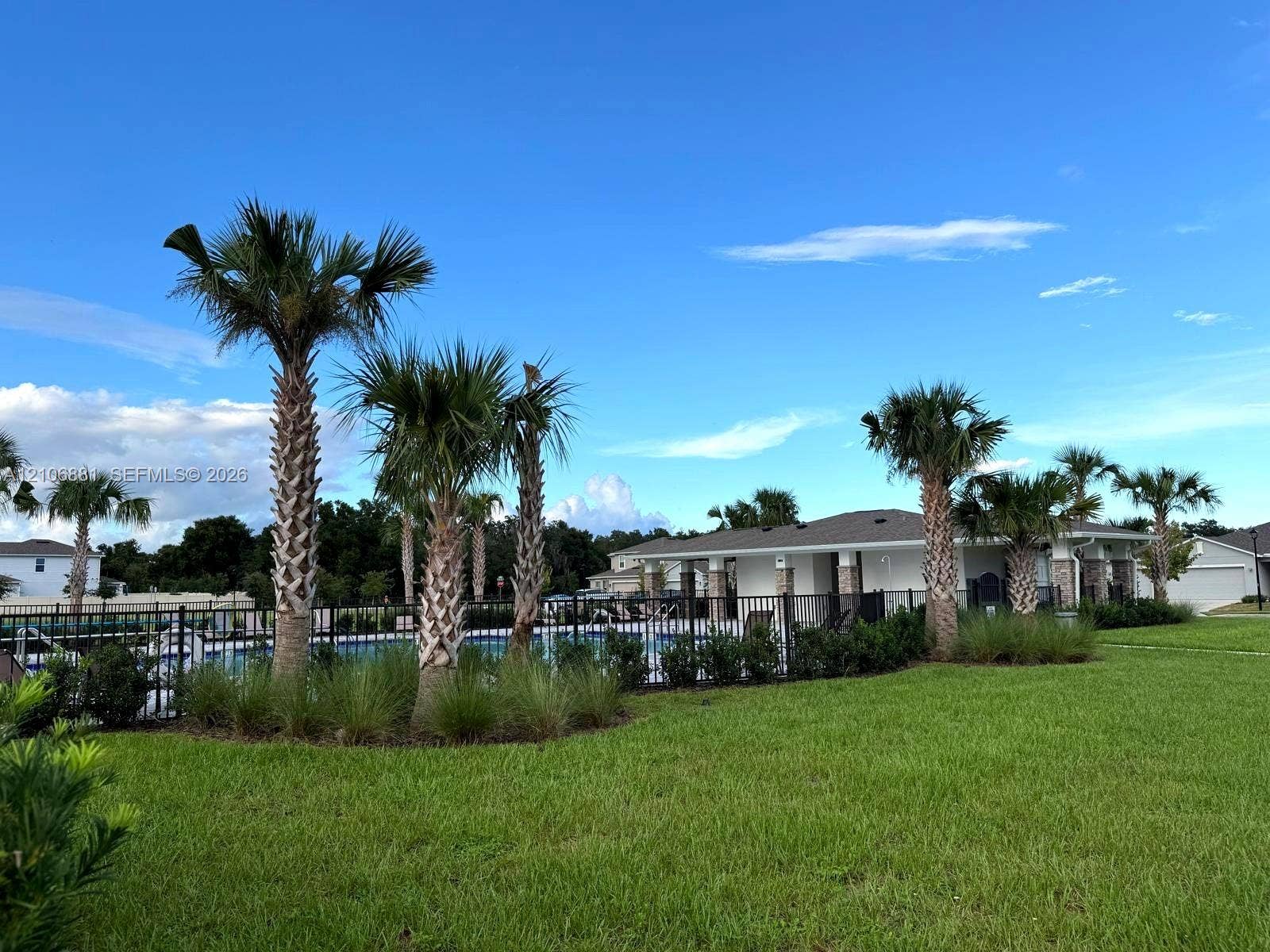 Swimming pool with a black metal enclosure, surrounding palm trees, and manicured landscaping