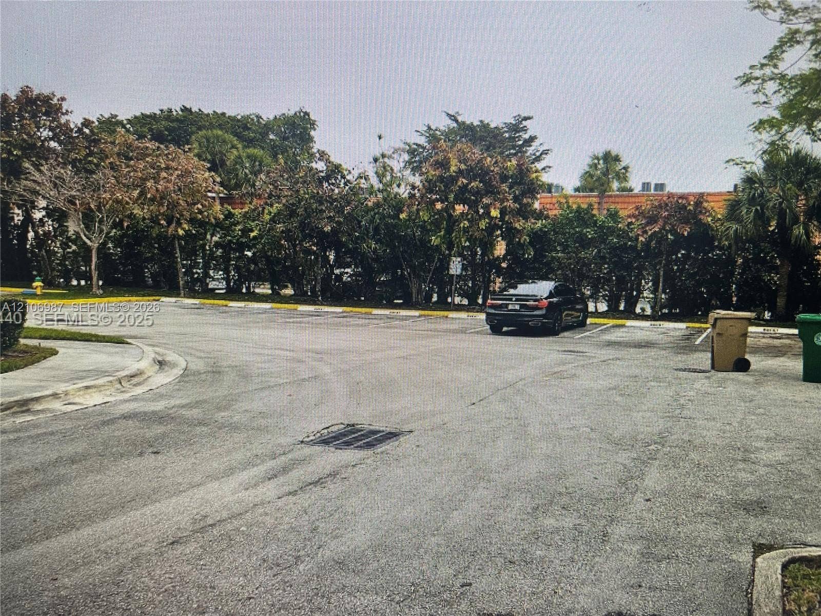Asphalt parking area with concrete curbing, marked parking stalls, and perimeter vegetation
