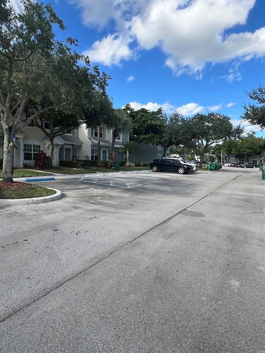Asphalt paved parking area featuring designated spots with painted markings and mature landscaping