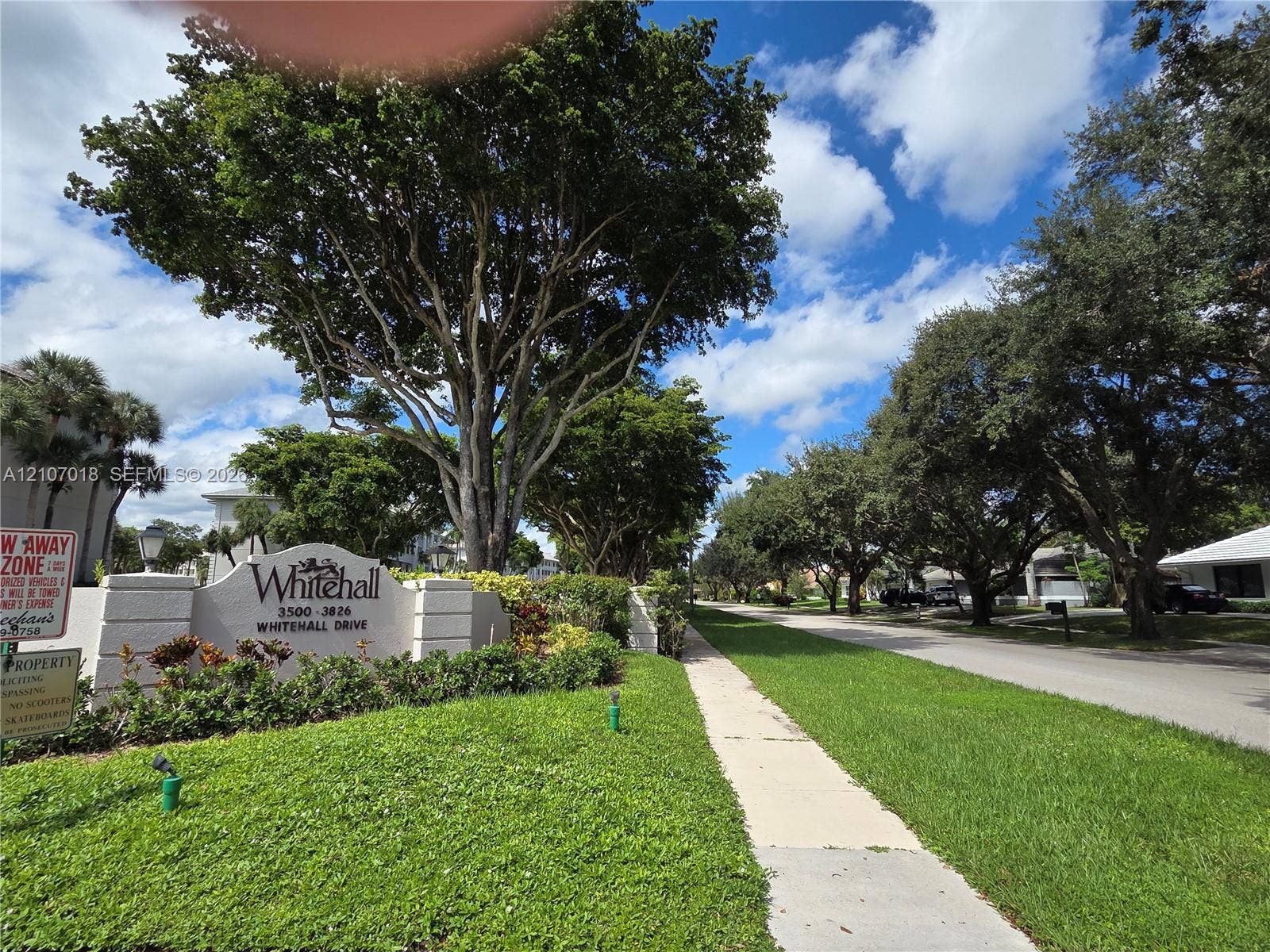 3716 Whitehall Drive, #304, West Palm Beach, West Palm Beach, FL 33401 Stucco monument signage featuring professional lettering, complemented by mature canopy trees, manicured lawn, and concrete sidewalk