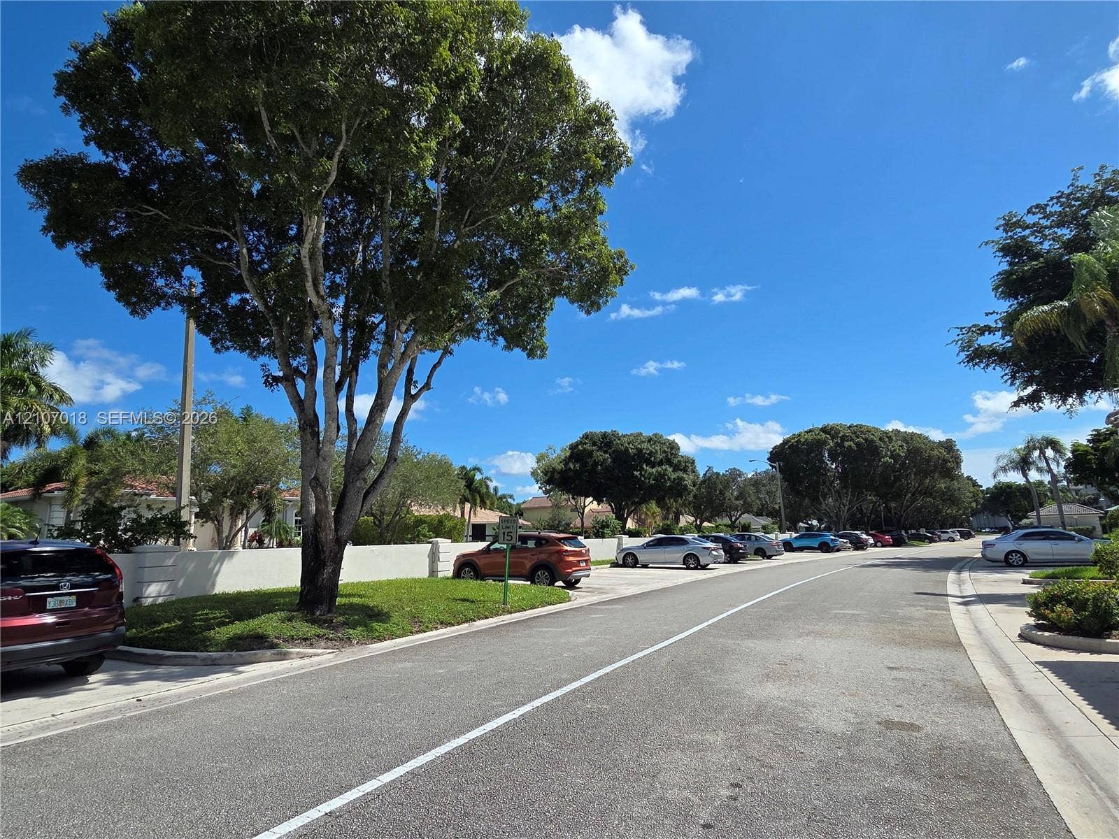 3716 Whitehall Drive, #304, West Palm Beach, West Palm Beach, FL 33401 Residential streetscape featuring a continuous concrete privacy wall, mature shade trees, and asphalt paving