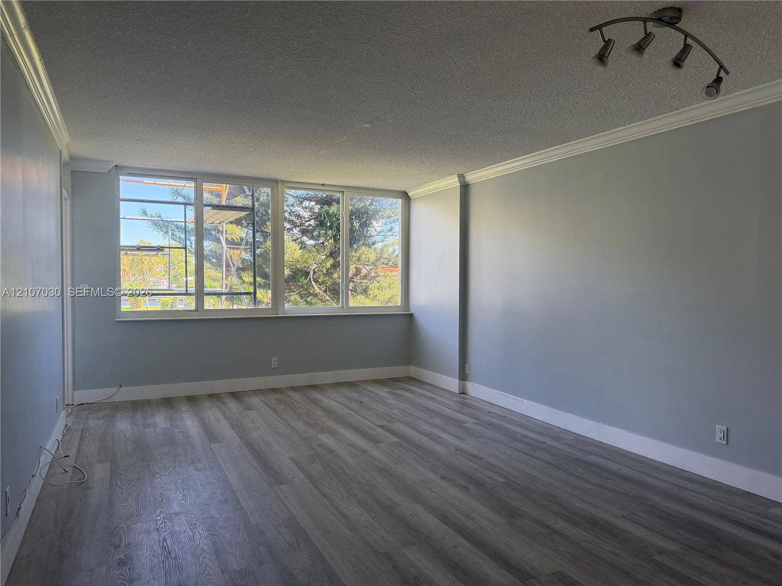 Open-concept living space featuring wood-finish flooring, crown molding, multi-pane windows, and a multi-directional track lighting fixture