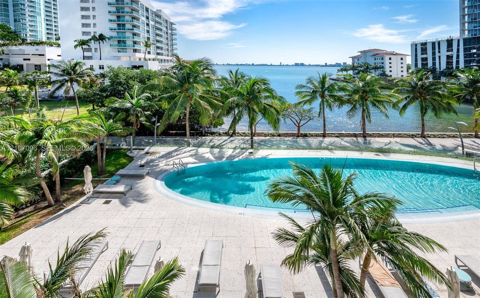 Outdoor swimming pool featuring a concrete deck, glass perimeter railing, and mature palm trees with open water access