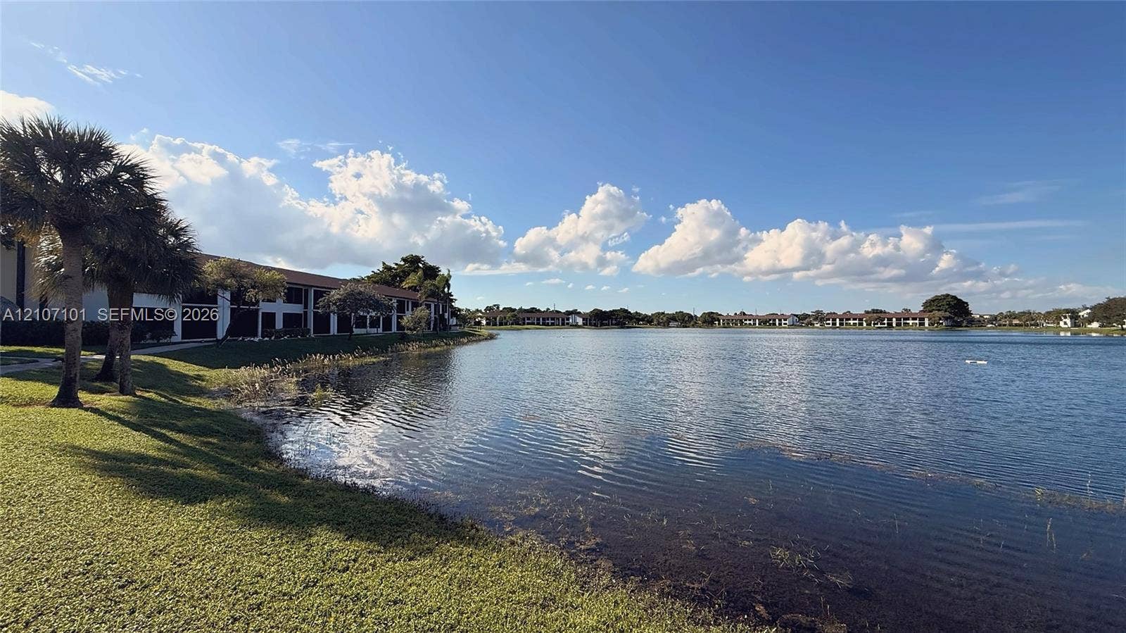 Waterfront grounds featuring a grass lawn, mature palm trees, and structural building exteriors