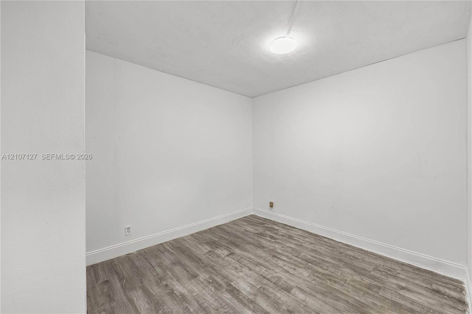 Interior space featuring wood-finish flooring, smooth-finish walls, and a ceiling-mounted light fixture