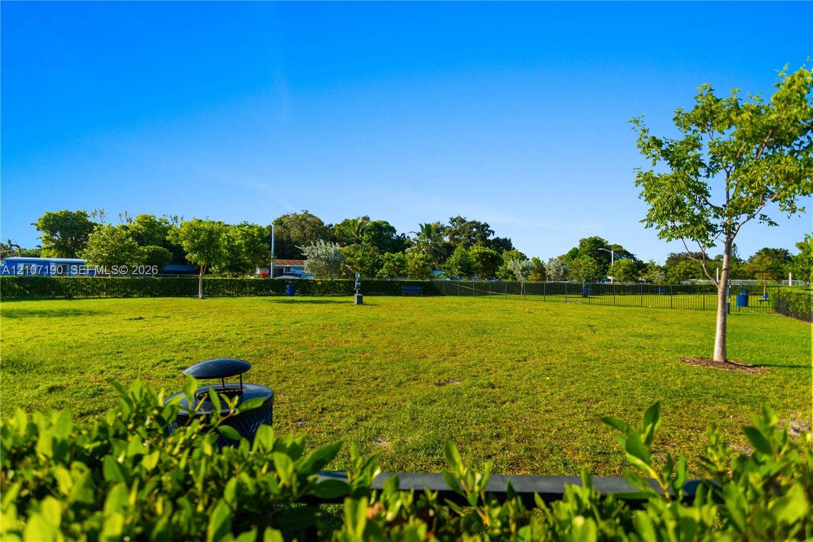 Expansive open grass area enclosed by perimeter fencing, featuring mature trees and integrated waste receptacles