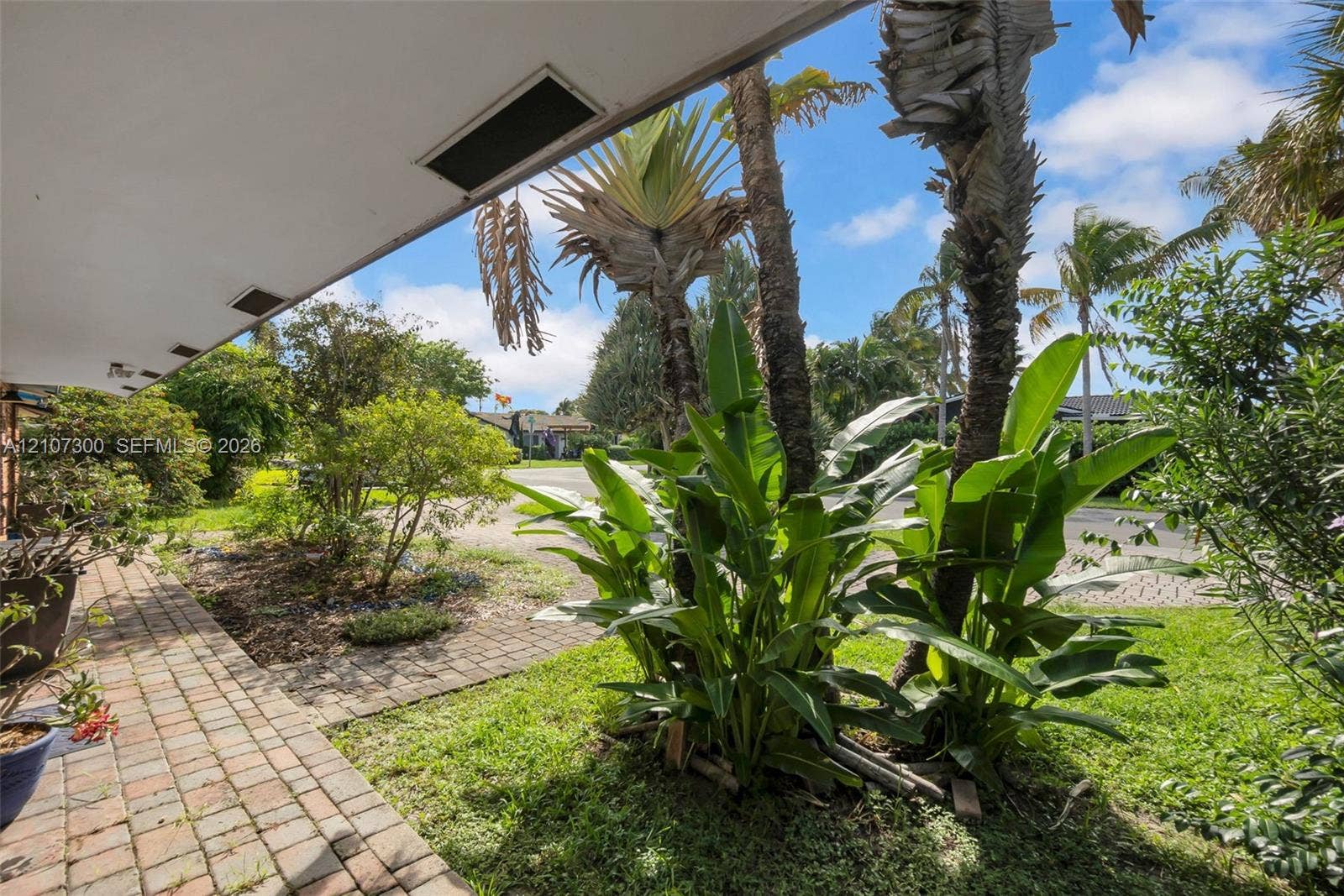 2051 NE 68th Street, Fort Lauderdale, FL 33308 Covered patio with paver walkway, mature palm trees, and native tropical landscaping