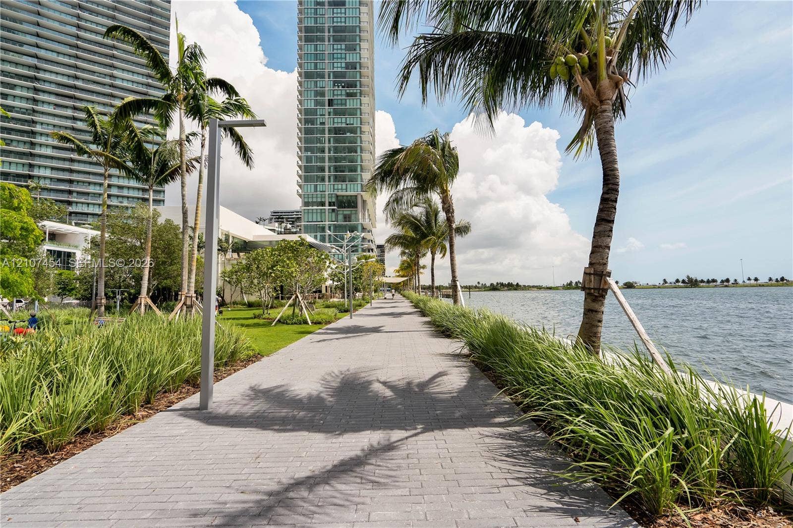 501 NE 31st Street, #1906, Miami, FL 33137 Paved waterfront pedestrian path featuring manicured landscaping, mature palm trees, and native grasses