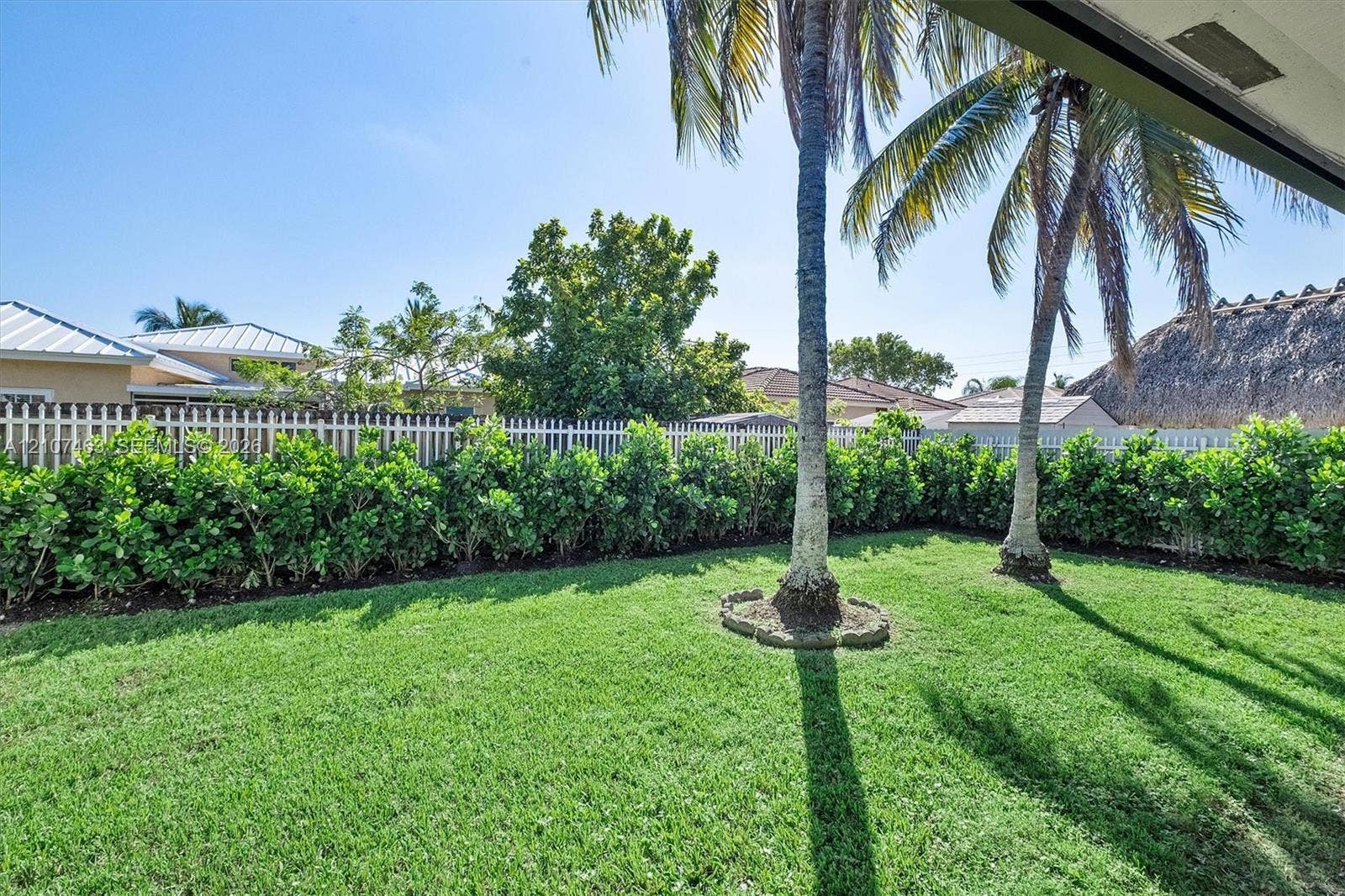 7071 W 6th Avenue, #N/A, Hialeah, Hialeah, FL 33014 Private backyard featuring a manicured lawn, perimeter hedge landscaping, a white vinyl fence, and established palm trees