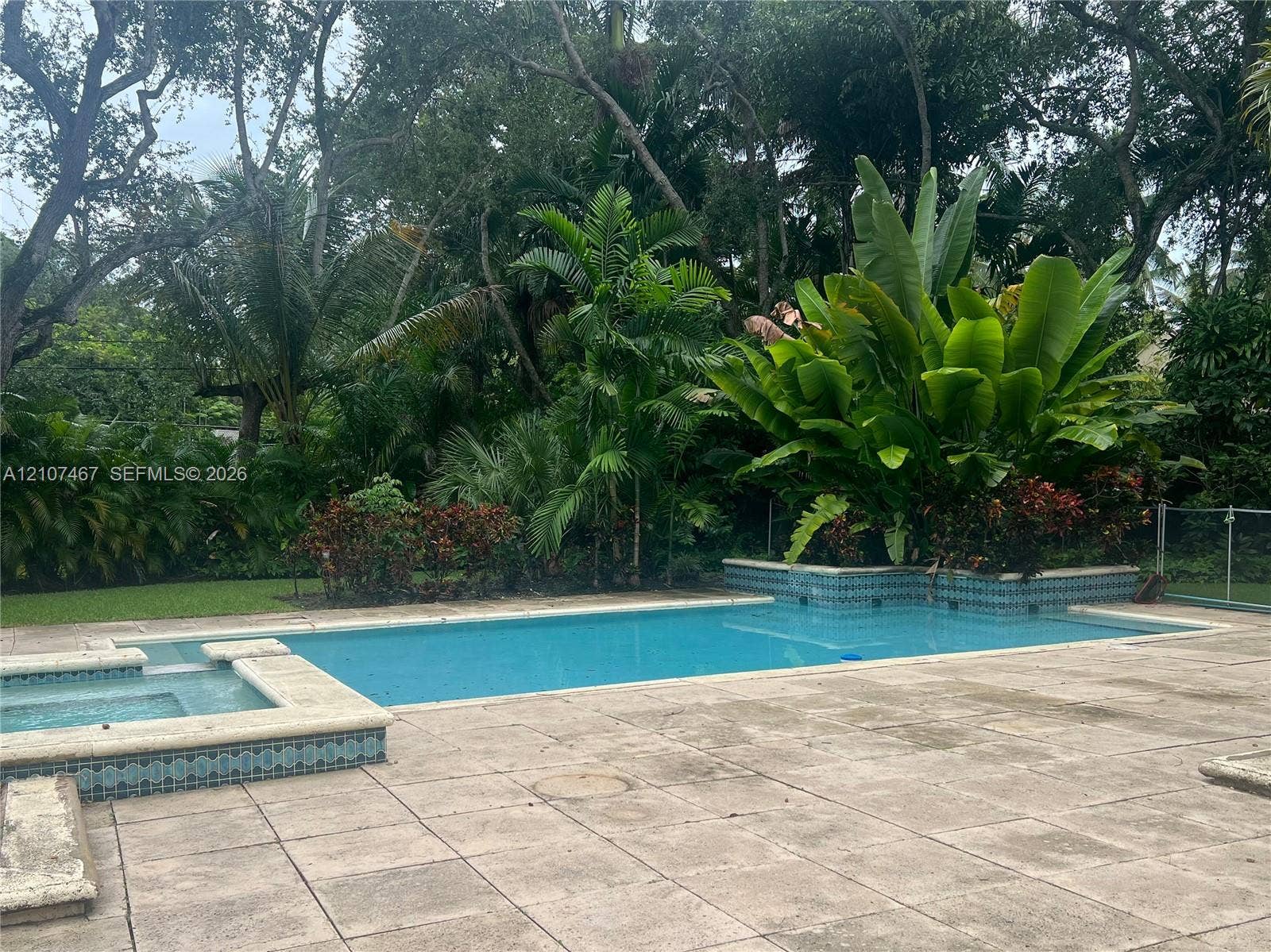 8201 Cheryl Lane, Miami, Miami, FL 33143 Swimming pool with integrated spa, tile-accented coping, and concrete paver decking, surrounded by mature landscaping