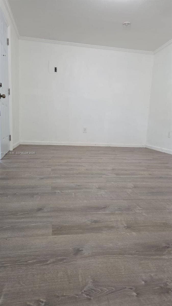 6431 Hayes Street, #3, Hollywood, Hollywood, FL 33024 Neutral interior space featuring wood-finish flooring, smooth white walls, and a single-panel door with metallic hardware