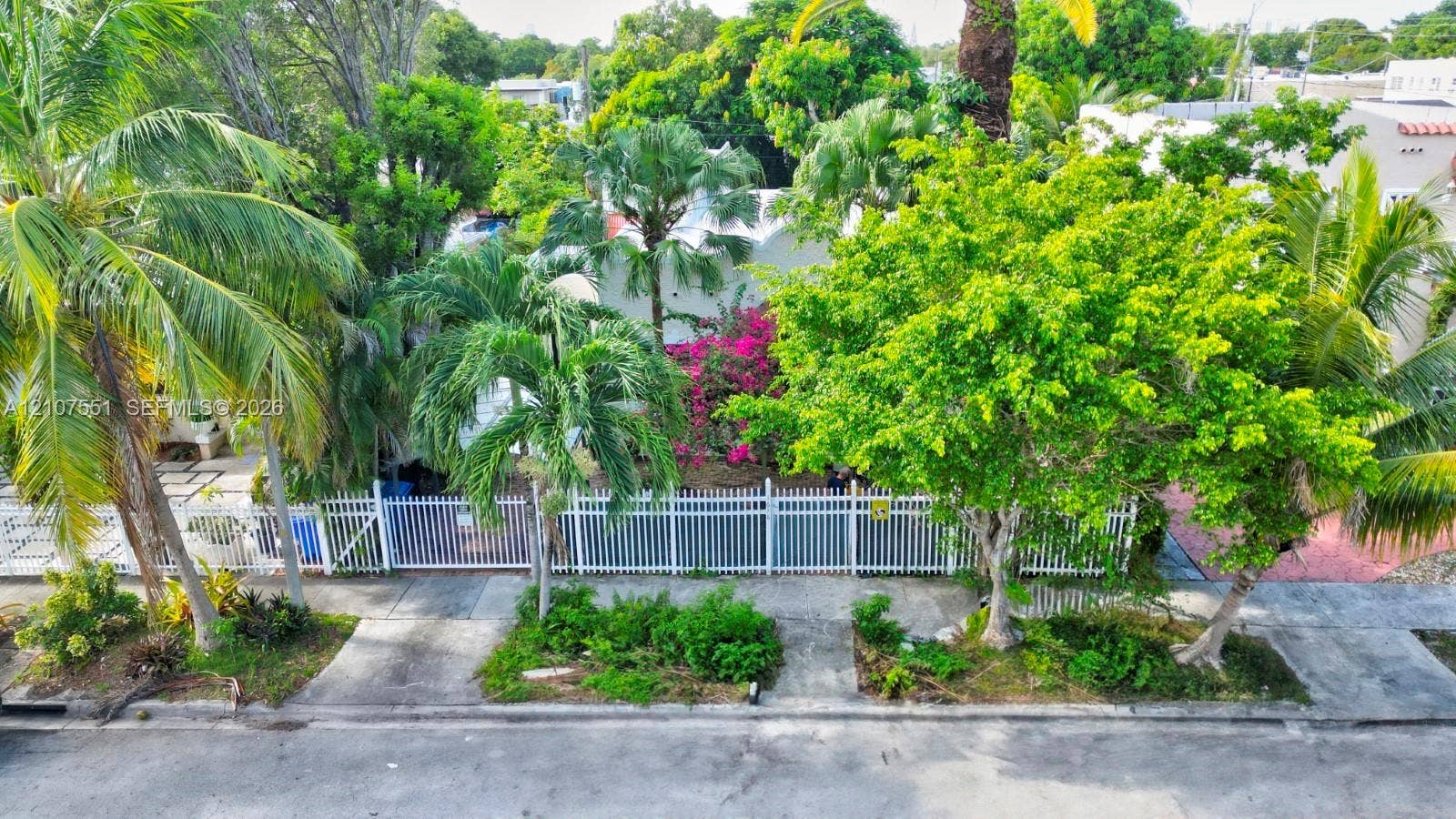 1676 SW 11th Street, Miami, Miami, FL 33135 Exterior grounds featuring a white metal perimeter fence, concrete driveway, mature tropical trees, and flowering vegetation