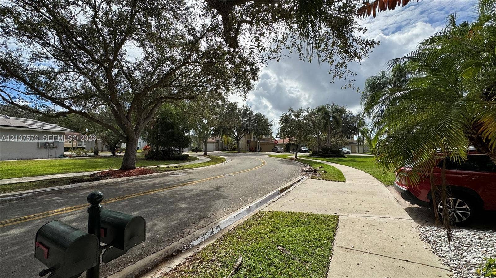 Paved street featuring concrete sidewalks, mature canopy trees, and landscaped green space