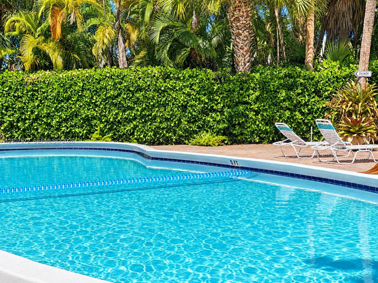 1425 Atlantic Shores Boulevard, #501, Hallandale Beach, FL 33009 In-ground pool with tiled waterline and concrete pool deck, surrounded by a mature privacy hedge and tropical landscaping
