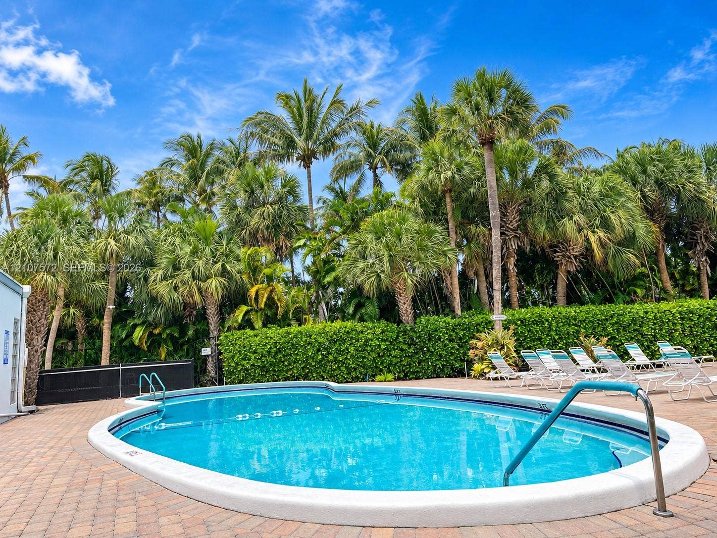 1425 Atlantic Shores Boulevard, #501, Hallandale Beach, FL 33009 In-ground pool with a paved deck, bordered by mature palm trees and a dense privacy hedge