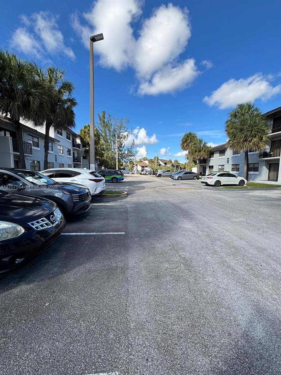 Paved surface parking area featuring designated spots and mature palm trees