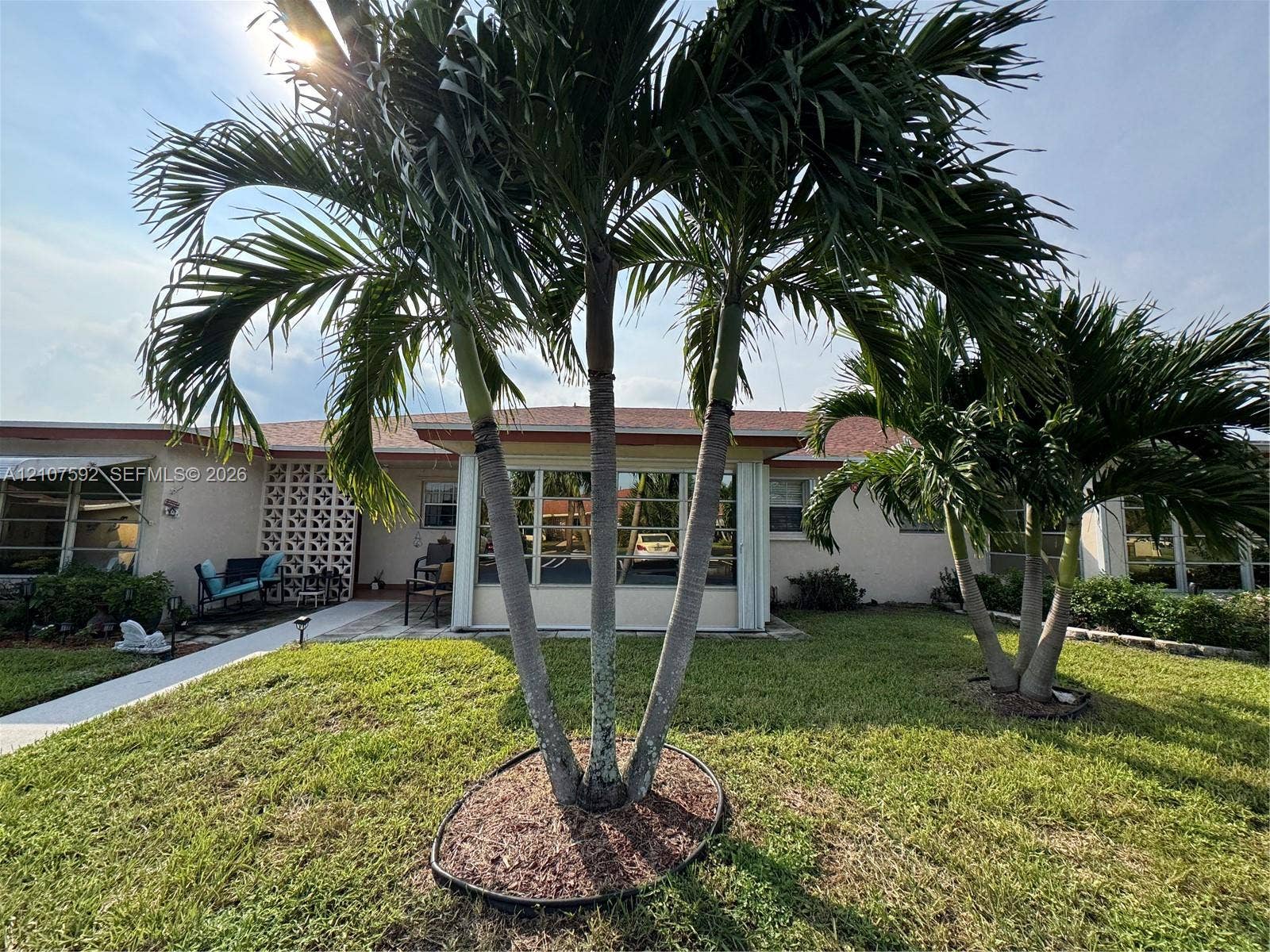Exterior featuring a concrete walkway, decorative concrete block privacy screen, multi-pane windows, and mature palm trees