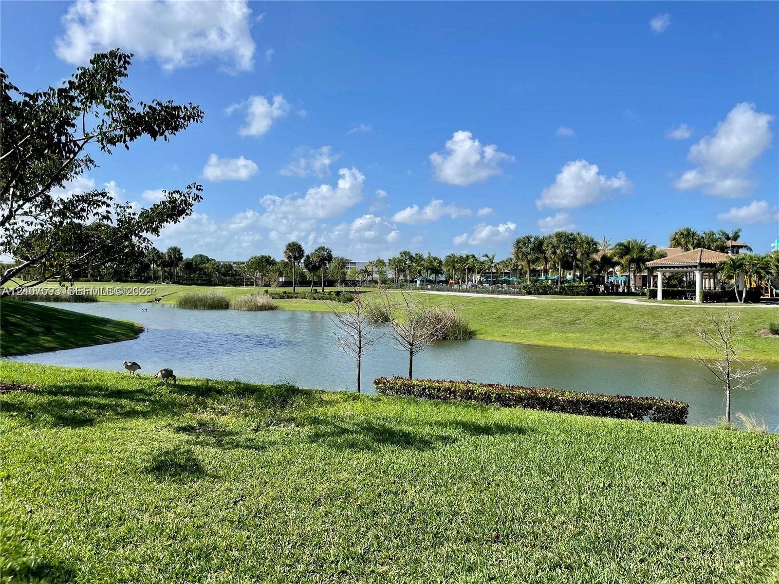 Waterfront property featuring a manicured lawn, naturalized pond edge with emergent vegetation, mature palm trees, and a covered pavilion
