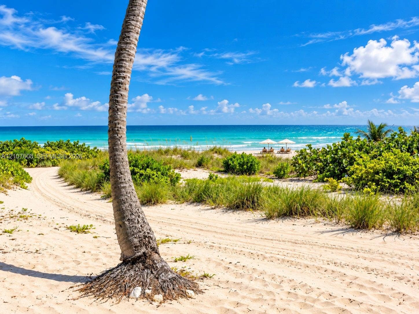 2000 S Ocean Boulevard, #12F, Lauderdale-By-The-Sea, Lauderdale By The Sea, FL 33062 Sandy shoreline featuring native dune vegetation, tropical palm trees, and direct ocean access