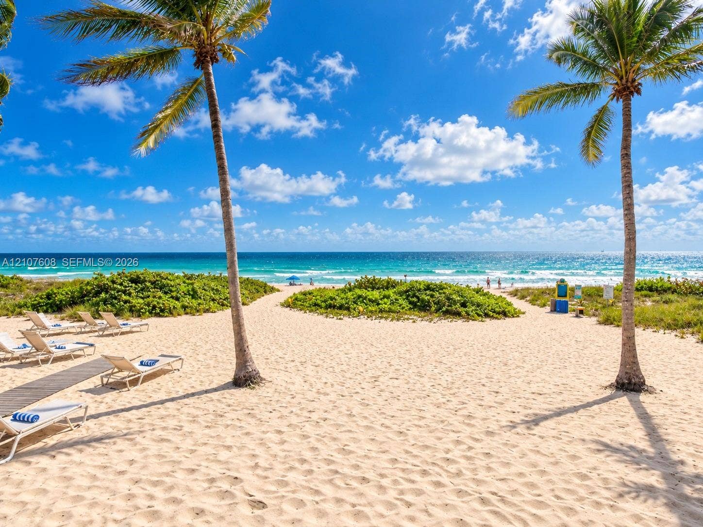 2000 S Ocean Boulevard, #12F, Lauderdale-By-The-Sea, Lauderdale By The Sea, FL 33062 Direct beach access featuring expansive sandy terrain, mature palm trees, and native coastal vegetation