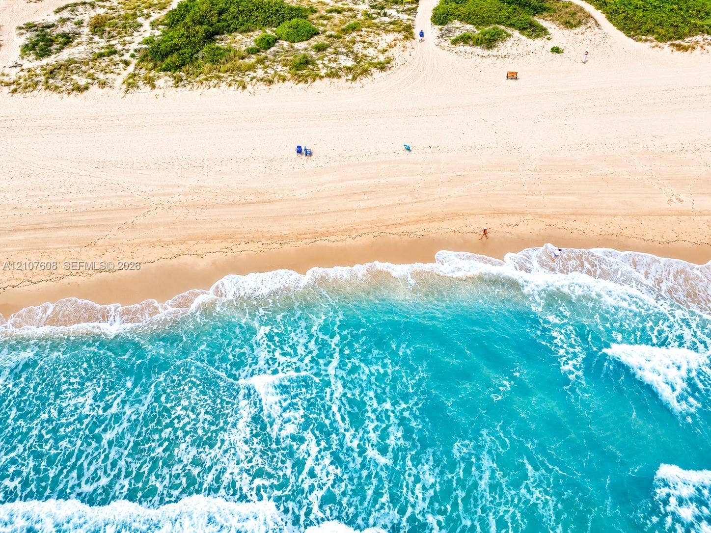 2000 S Ocean Boulevard, #12F, Lauderdale-By-The-Sea, Lauderdale By The Sea, FL 33062 Sandy beachfront coastline with direct ocean access, natural sand dunes, and native vegetation