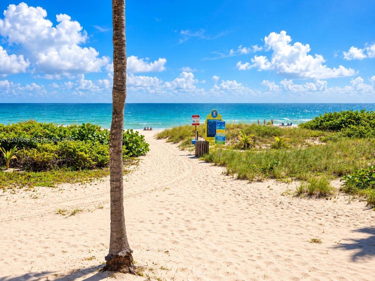 2000 S Ocean Boulevard, #12F, Lauderdale-By-The-Sea, Lauderdale By The Sea, FL 33062 Sandy path lined with native coastal vegetation leading directly to the ocean shoreline
