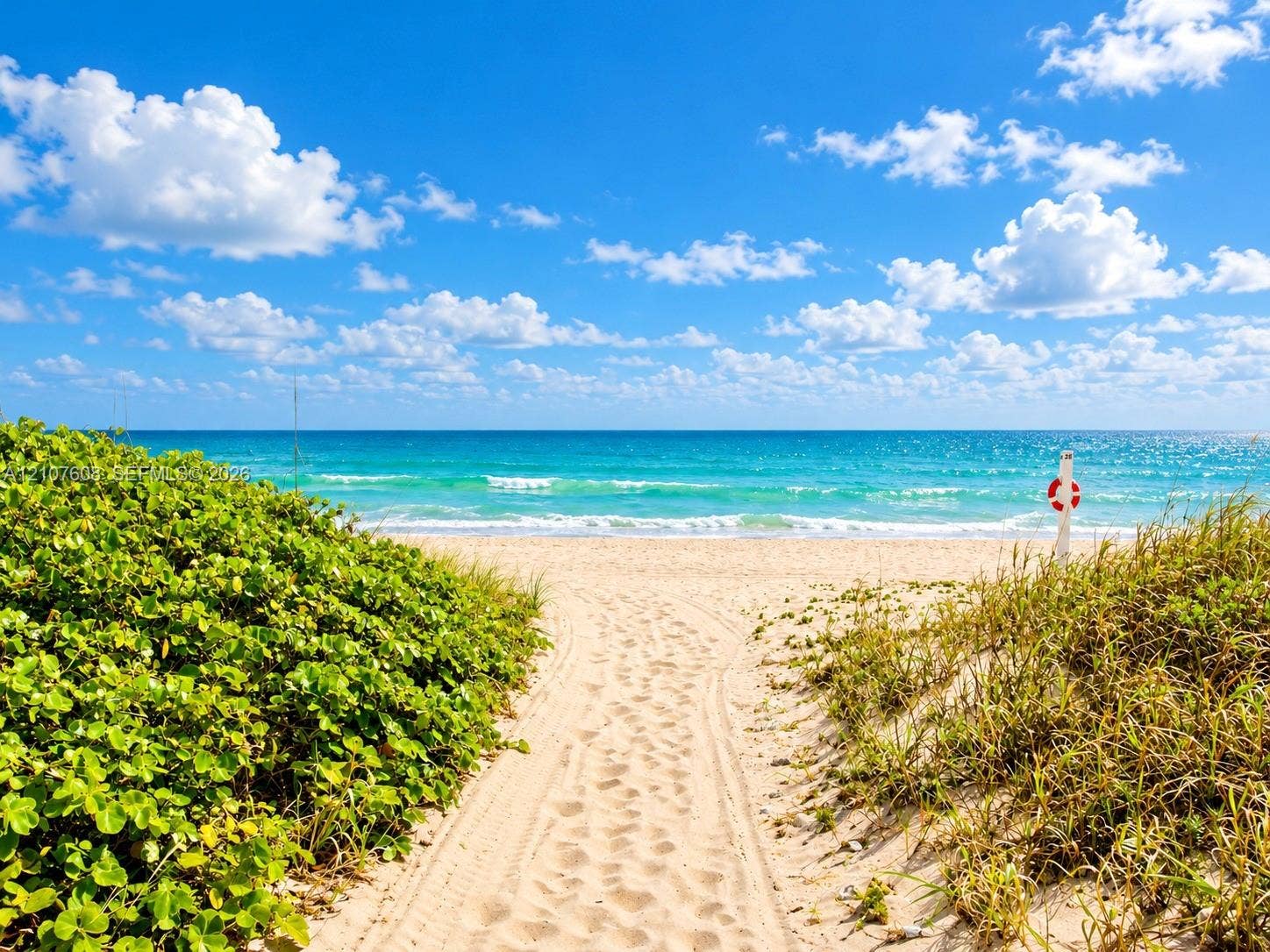 2000 S Ocean Boulevard, #12F, Lauderdale-By-The-Sea, Lauderdale By The Sea, FL 33062 Sandy path featuring coastal vegetation and direct oceanfront access