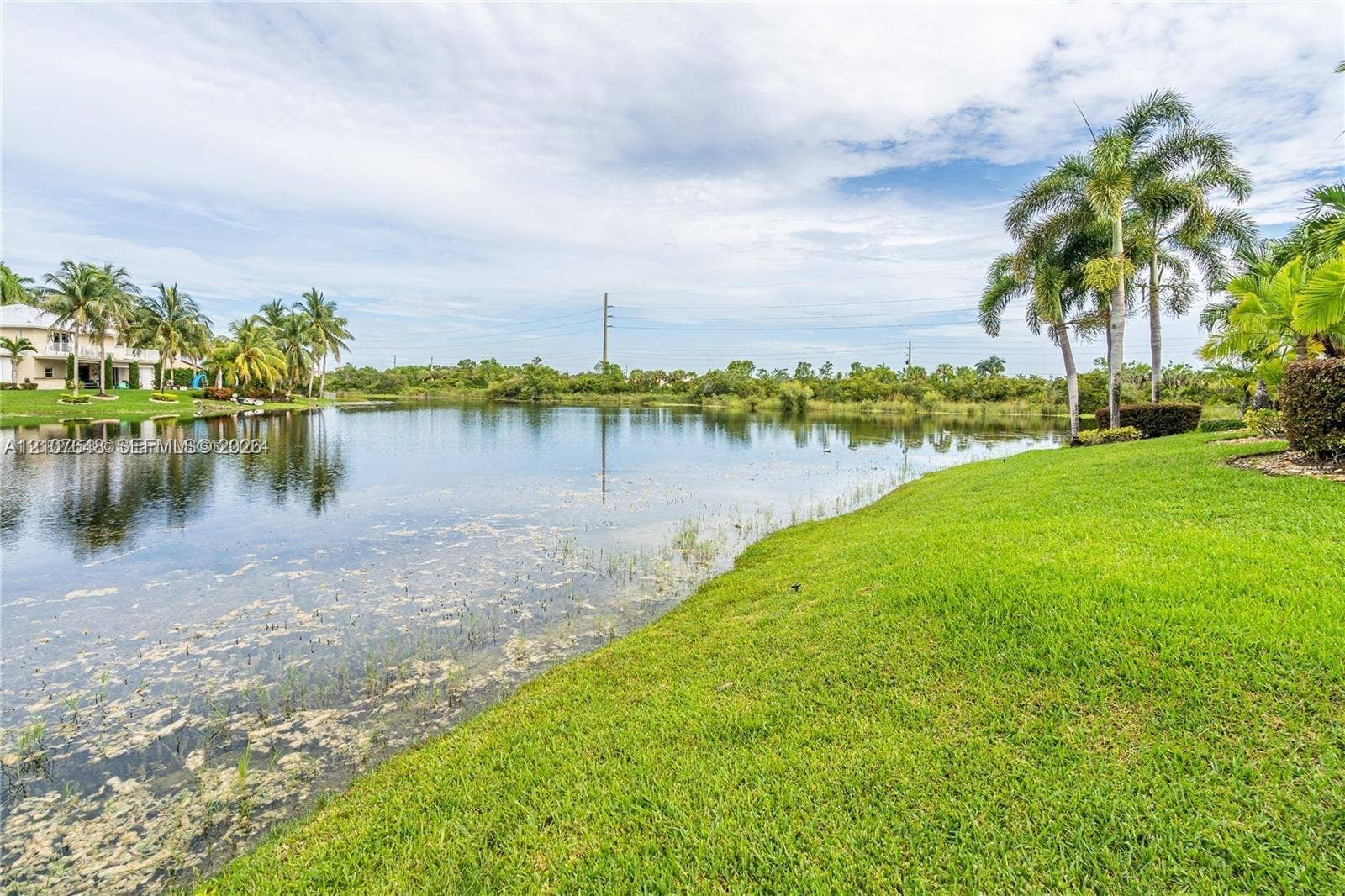 Waterfront lot featuring a manicured lawn, native palm trees, and natural shoreline