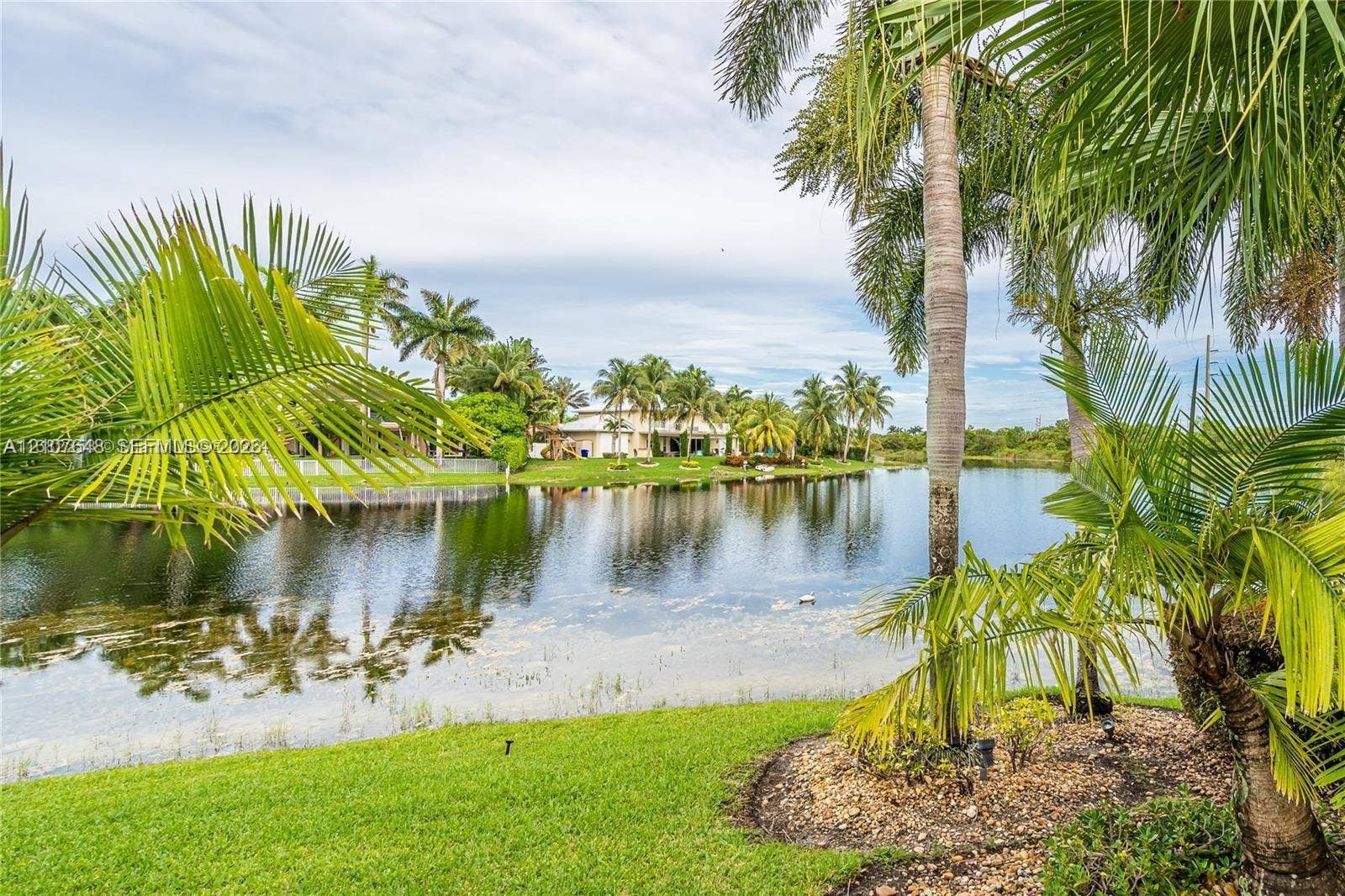 Waterfront property featuring a manicured lawn, mature palm trees, and native vegetation