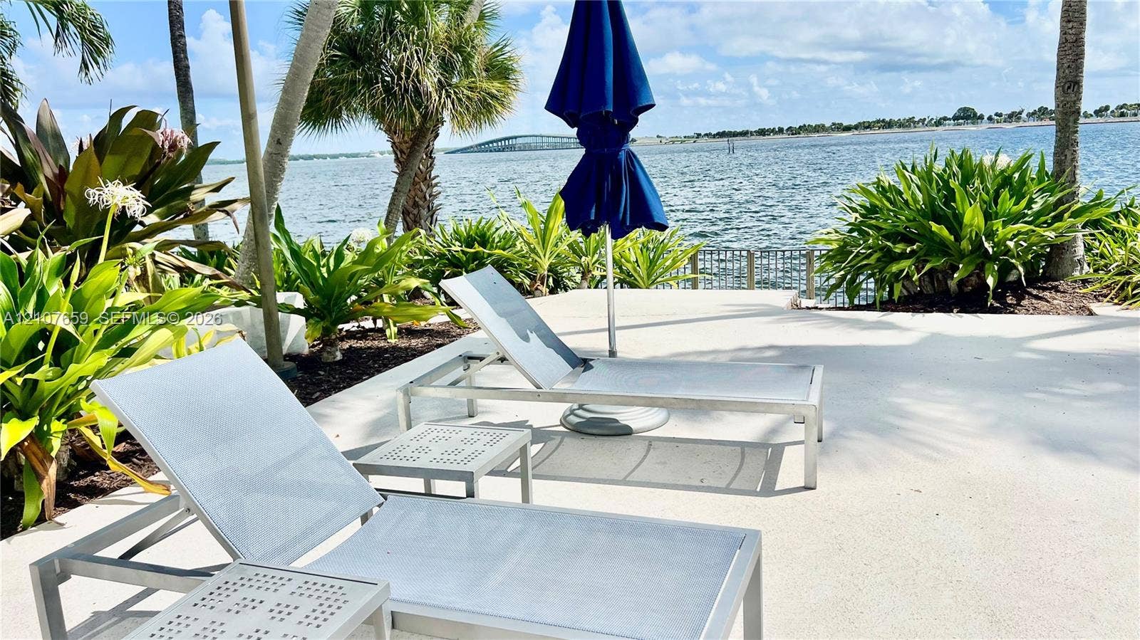 Concrete patio featuring lush tropical landscaping, mature palm trees, and waterfront positioning
