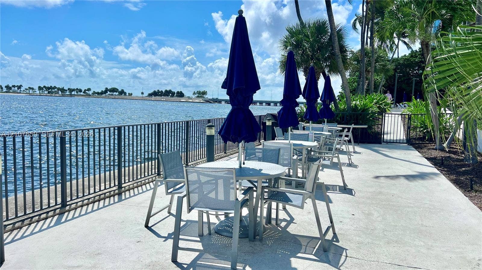 Waterfront patio featuring a concrete deck, metal perimeter fencing, and mature palm trees