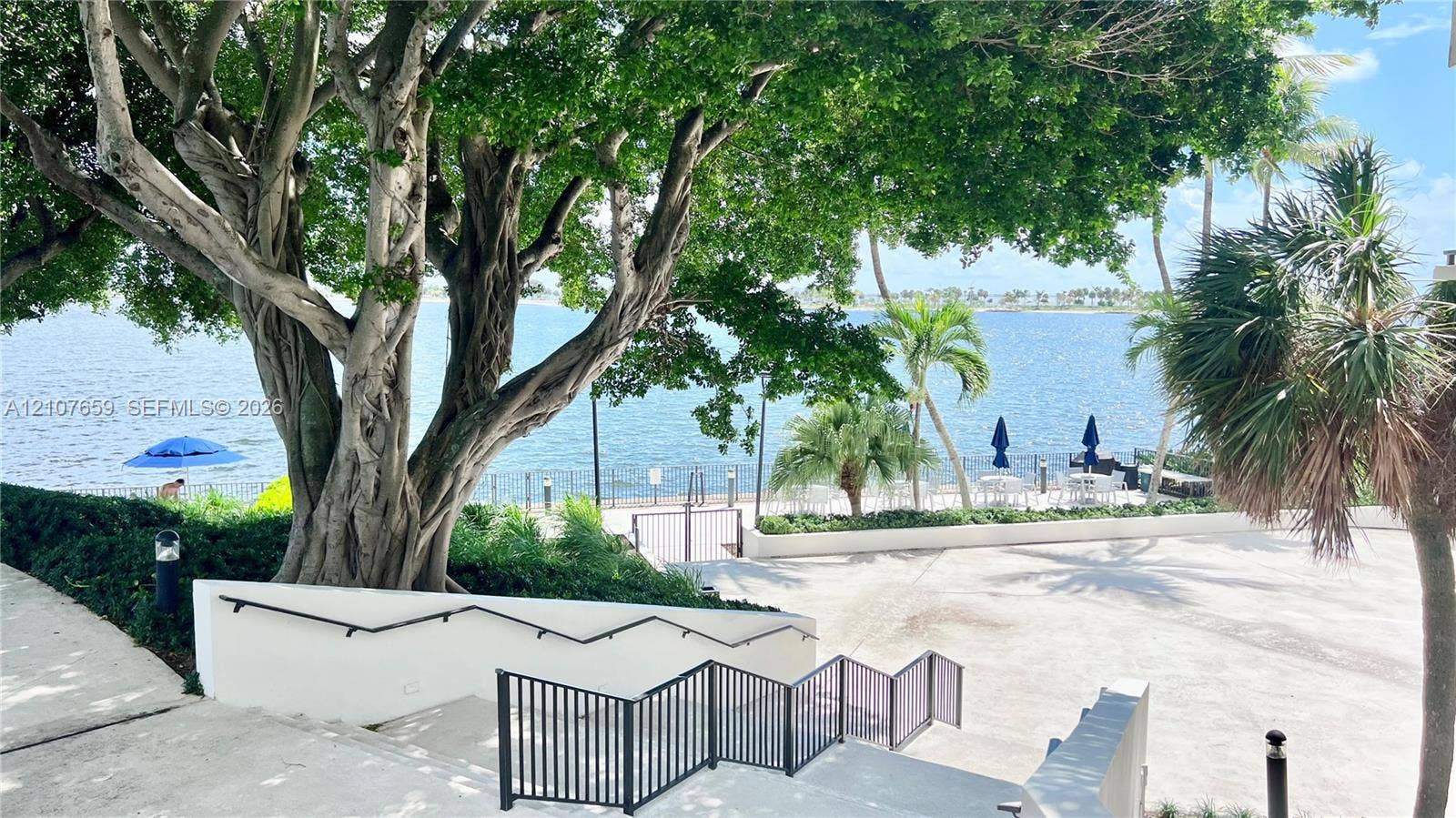 Waterfront grounds featuring mature canopy trees, concrete staircase with black metal railings, and stone-paved promenade