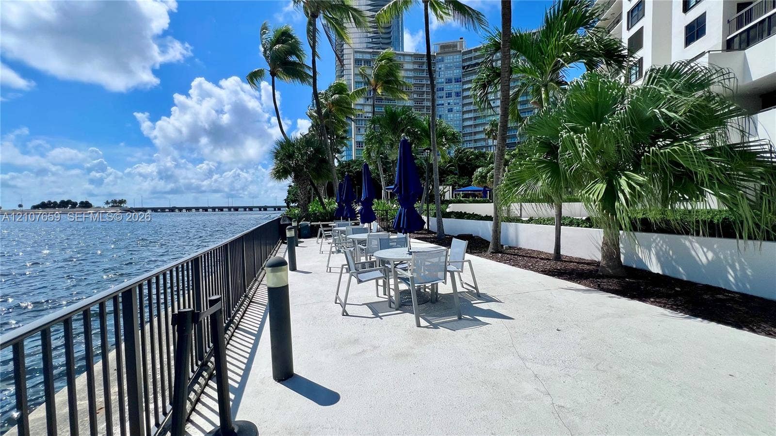 Waterfront terrace featuring concrete paving, a metal perimeter railing, and mature palm trees