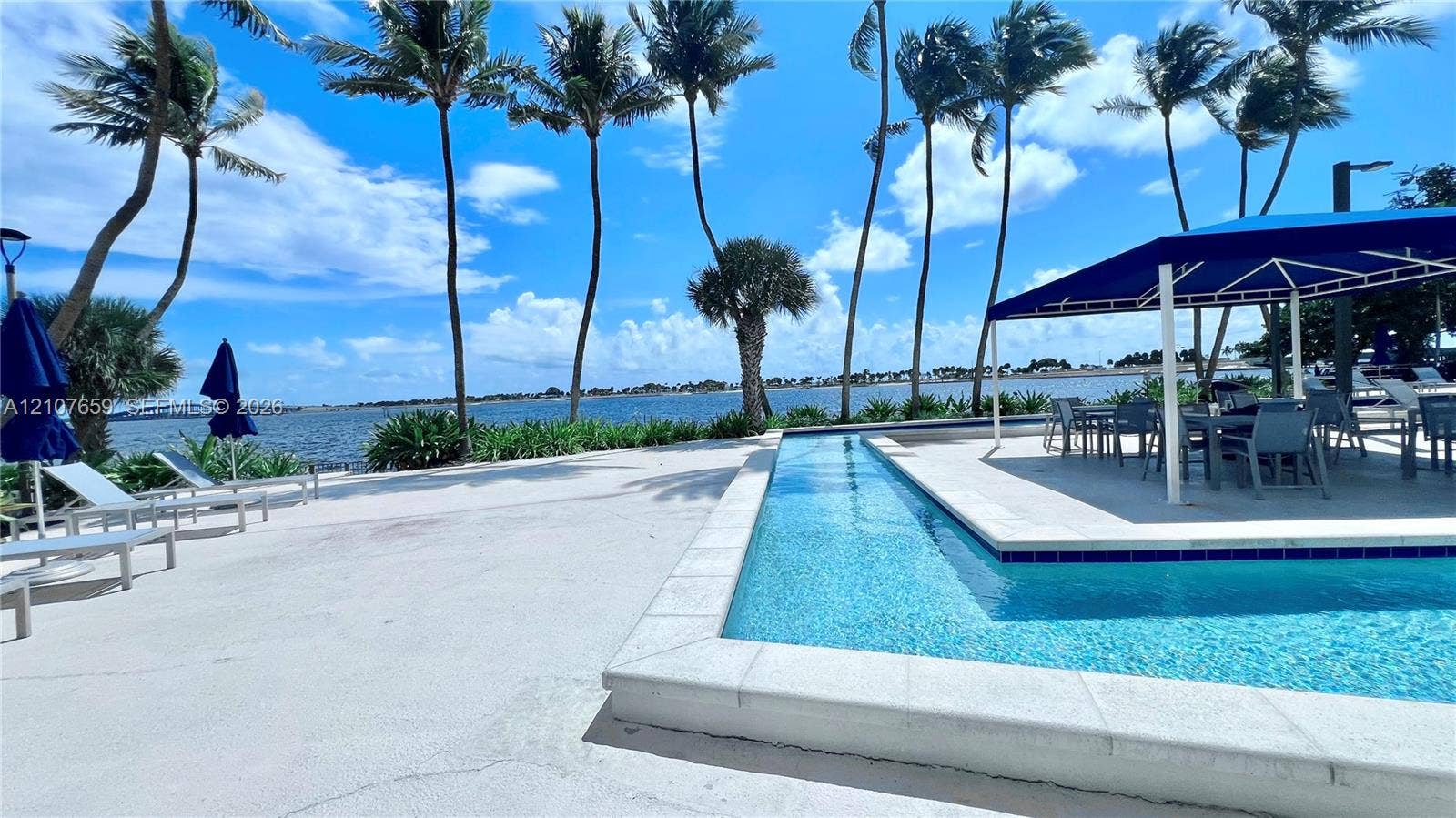 Waterfront pool area featuring a stone-paver deck, built-in lap pool with stone coping, and mature palm trees