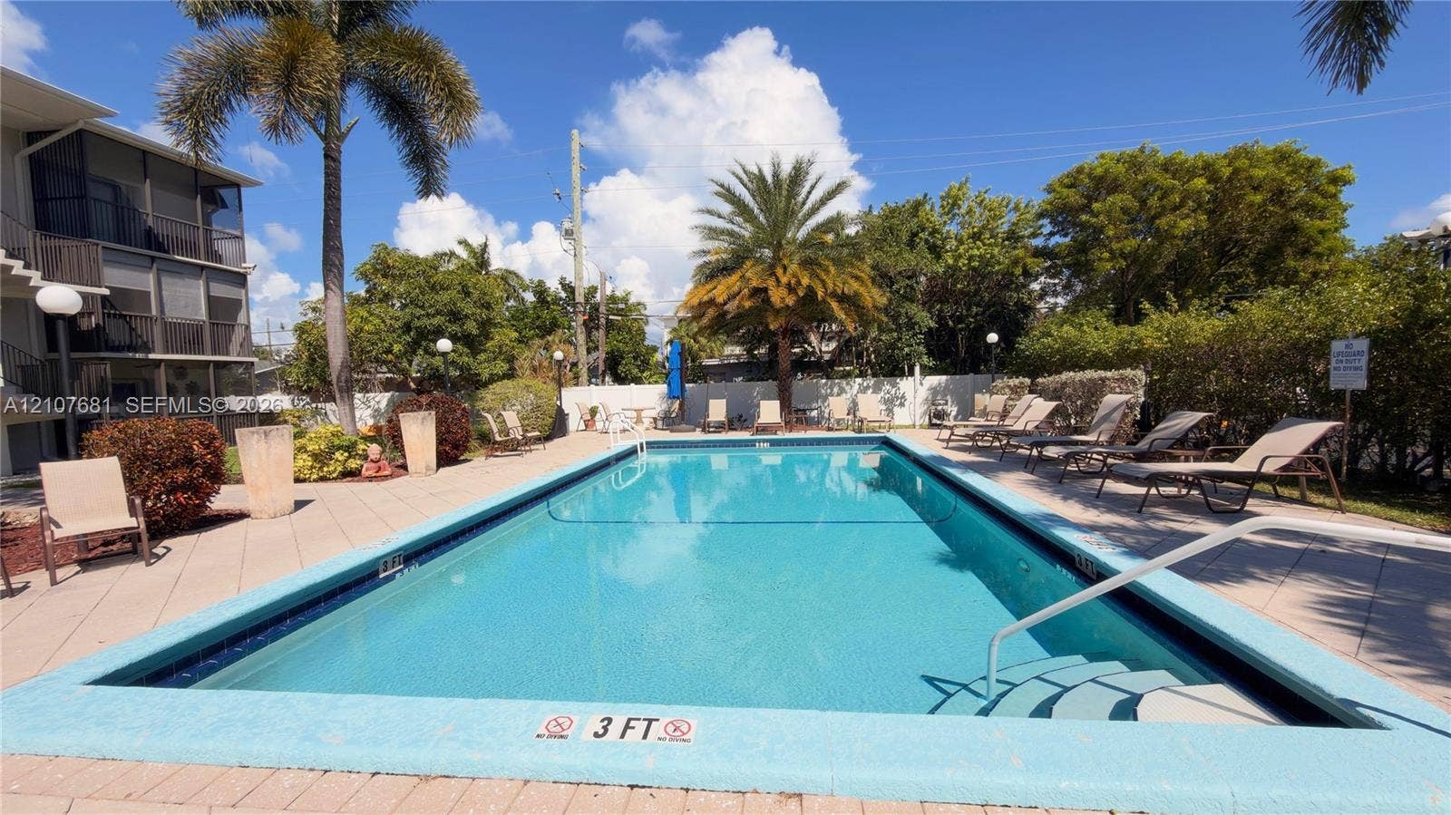 701 NE 1st Court, #202, Hallandale Beach, Hallandale Beach, FL 33009 Rectangular swimming pool featuring a tiled waterline, perimeter coping, and built-in steps with a metal handrail, surrounded by a paved patio deck and mature palm trees