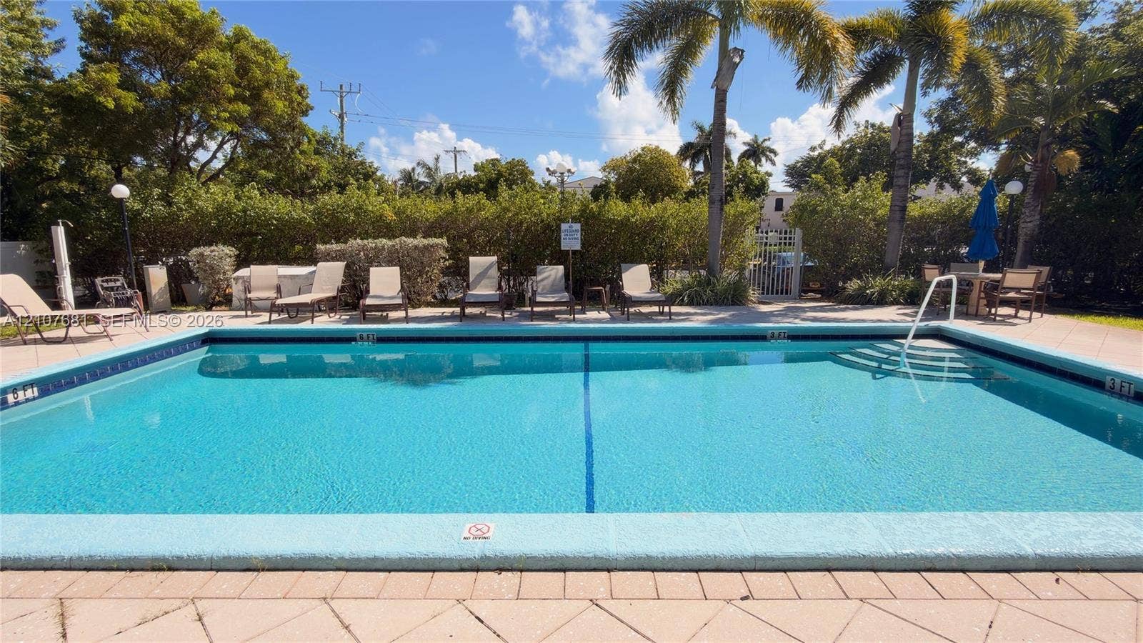 701 NE 1st Court, #202, Hallandale Beach, Hallandale Beach, FL 33009 In-ground swimming pool with a paved deck, perimeter hedging, and mature palm trees