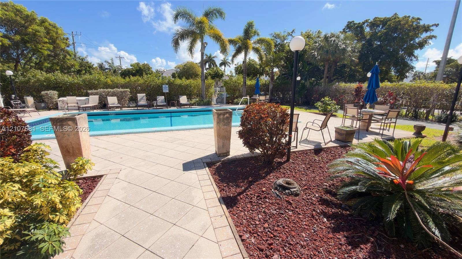 701 NE 1st Court, #202, Hallandale Beach, Hallandale Beach, FL 33009 Swimming pool featuring a paved deck, perimeter hedge landscaping, mature palm trees, and elevated stone planters