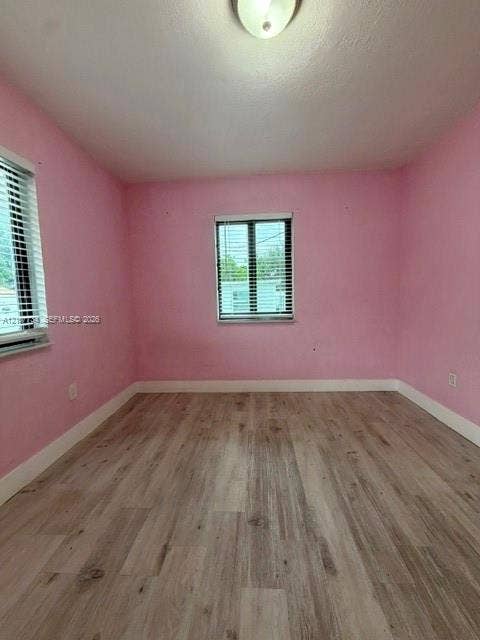 Interior space featuring wood-finish flooring, two windows with horizontal blinds, and a dome-style ceiling light fixture