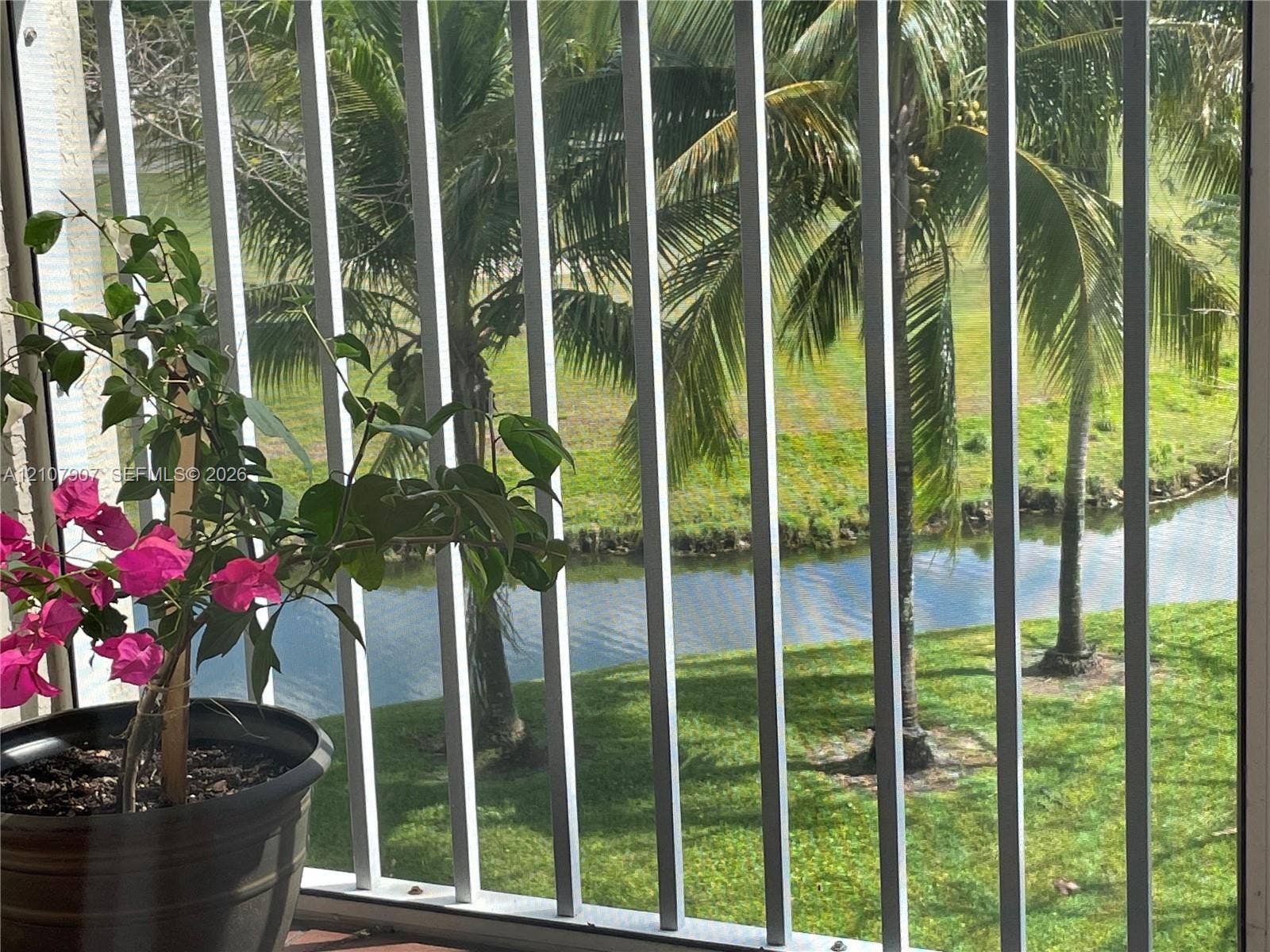 Balcony featuring vertical metal railing, grass-lined waterway, and palm trees