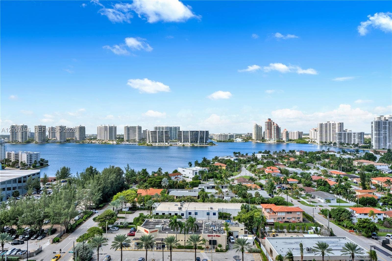 Elevated perspective featuring coastal horizon, expansive bay waters, and dense tropical landscaping