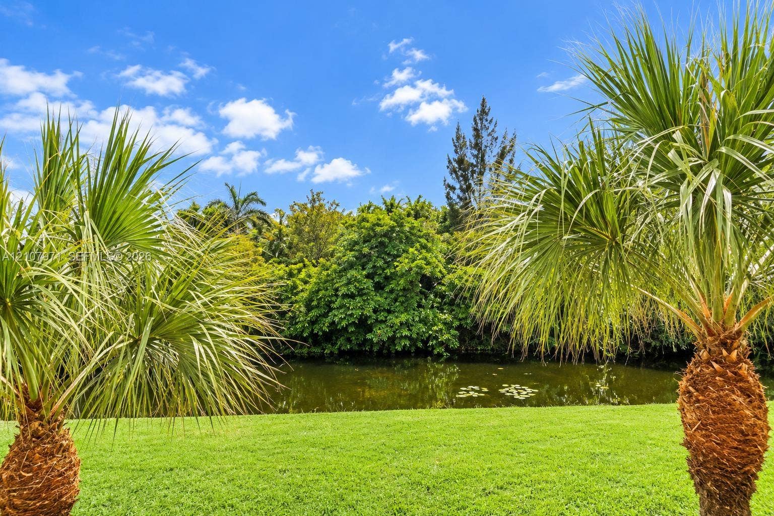 4921 SW 66th Terrace, #4921, Davie, Davie, FL 33314 Lawn area with palm trees and a water feature backed by mature trees