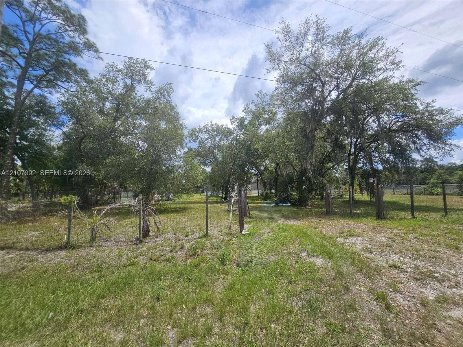 725 S Mayoral Street, Clewiston, FL 33440 Expansive lot featuring mature trees, partial wire fencing, and cleared terrain
