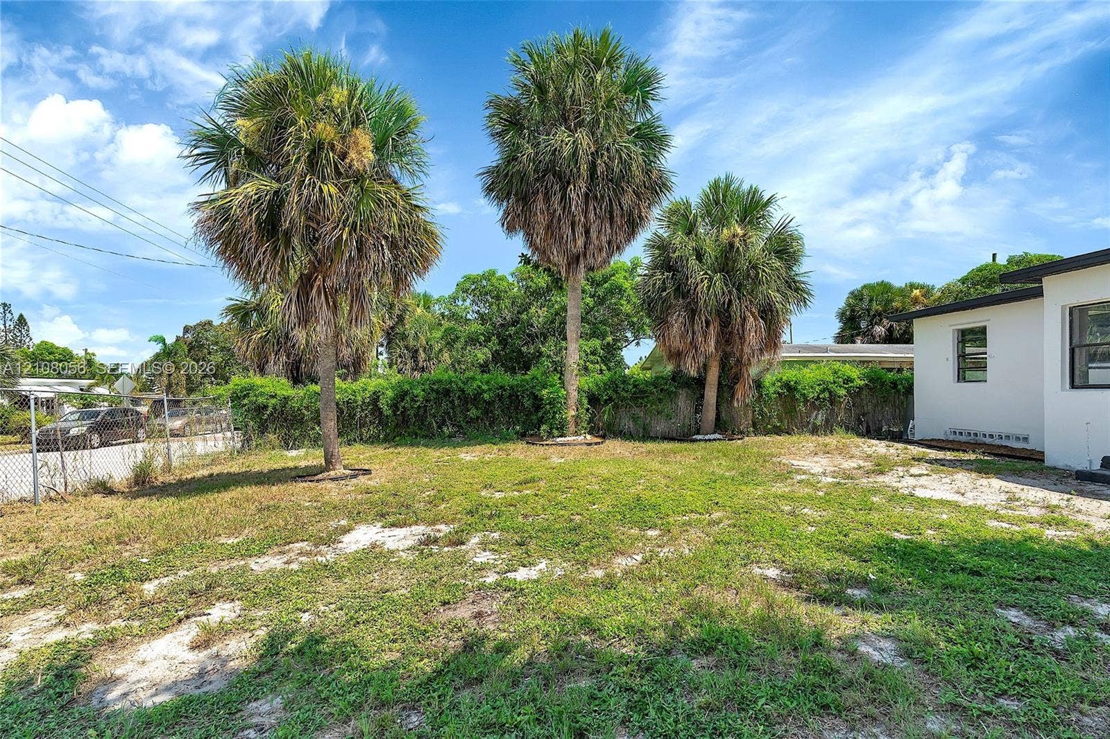 1444 W 28th Street, Riviera Beach, FL 33404 Open backyard featuring established palm trees and perimeter hedge fencing