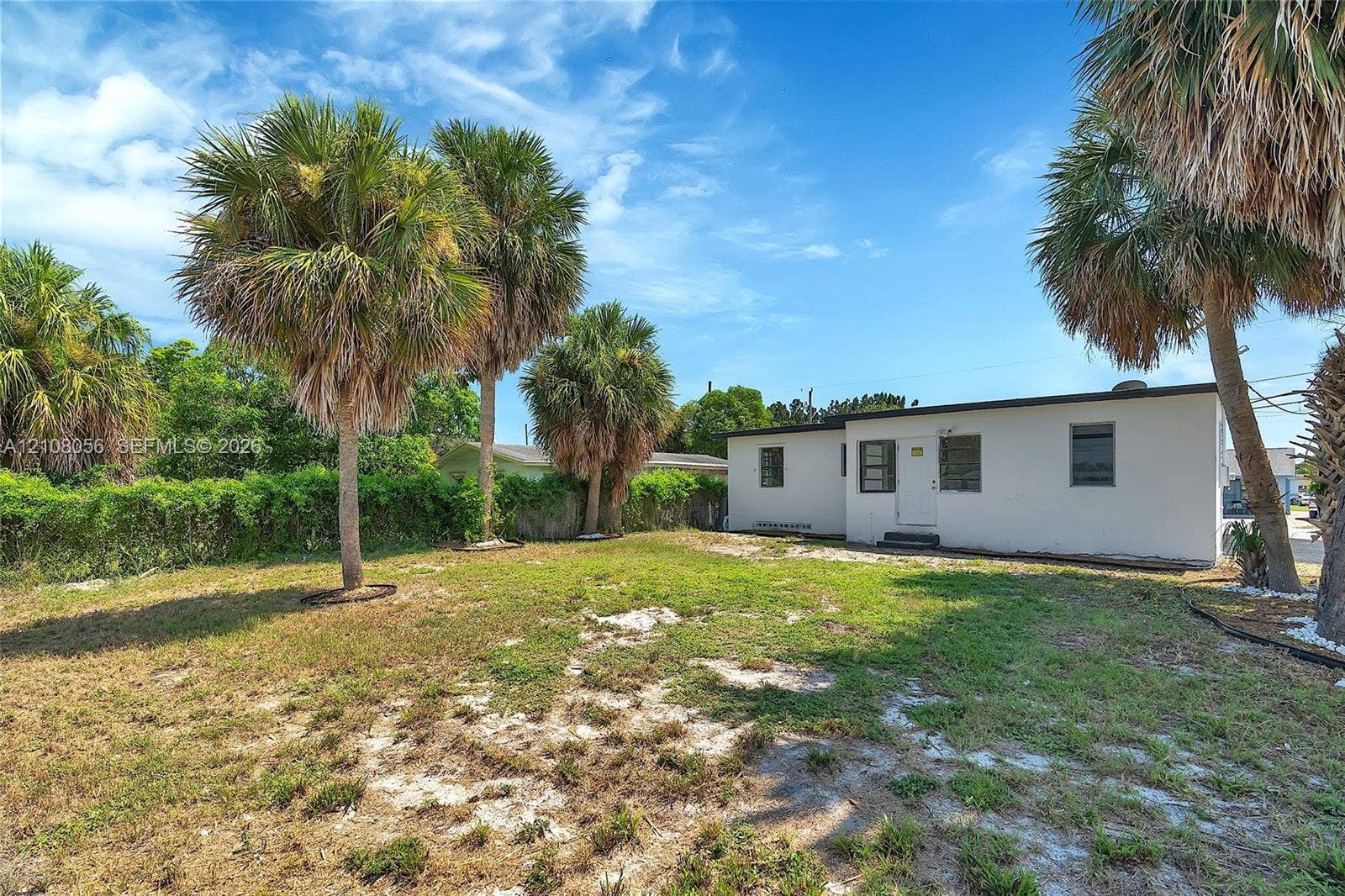 1444 W 28th Street, Riviera Beach, FL 33404 Exterior grounds featuring mature palm trees, a spacious open lawn area, and white stucco siding
