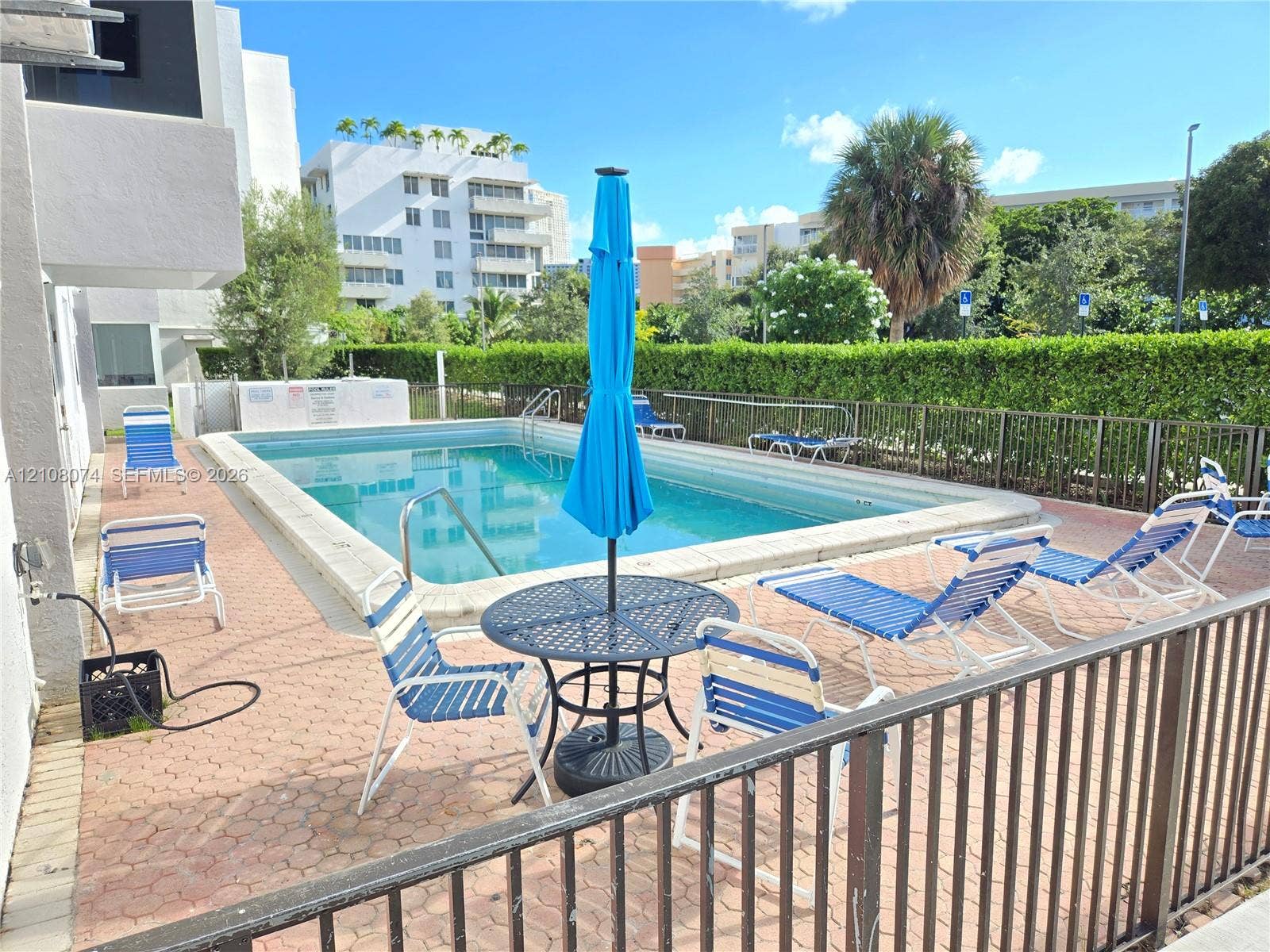 250 180th Drive, #202, Sunny Isles Beach, Sunny Isles Beach, FL 33160 In-ground swimming pool with a concrete surround, enclosed by metal fencing and mature privacy hedging