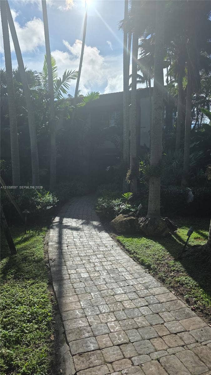 Paver stone walkway bordered by mature palm trees and established landscaping