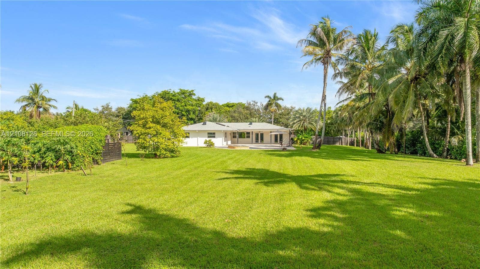 11700 NW 4th Street, Plantation, Plantation, FL 33325 Expansive backyard featuring a sprawling manicured lawn, established palm trees, mature greenery, and a covered rear patio