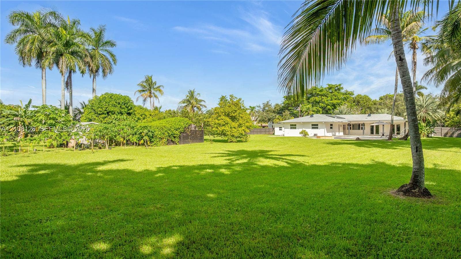 11700 NW 4th Street, Plantation, Plantation, FL 33325 Expansive rear grounds featuring a manicured lawn, established palm trees, and mature landscaping
