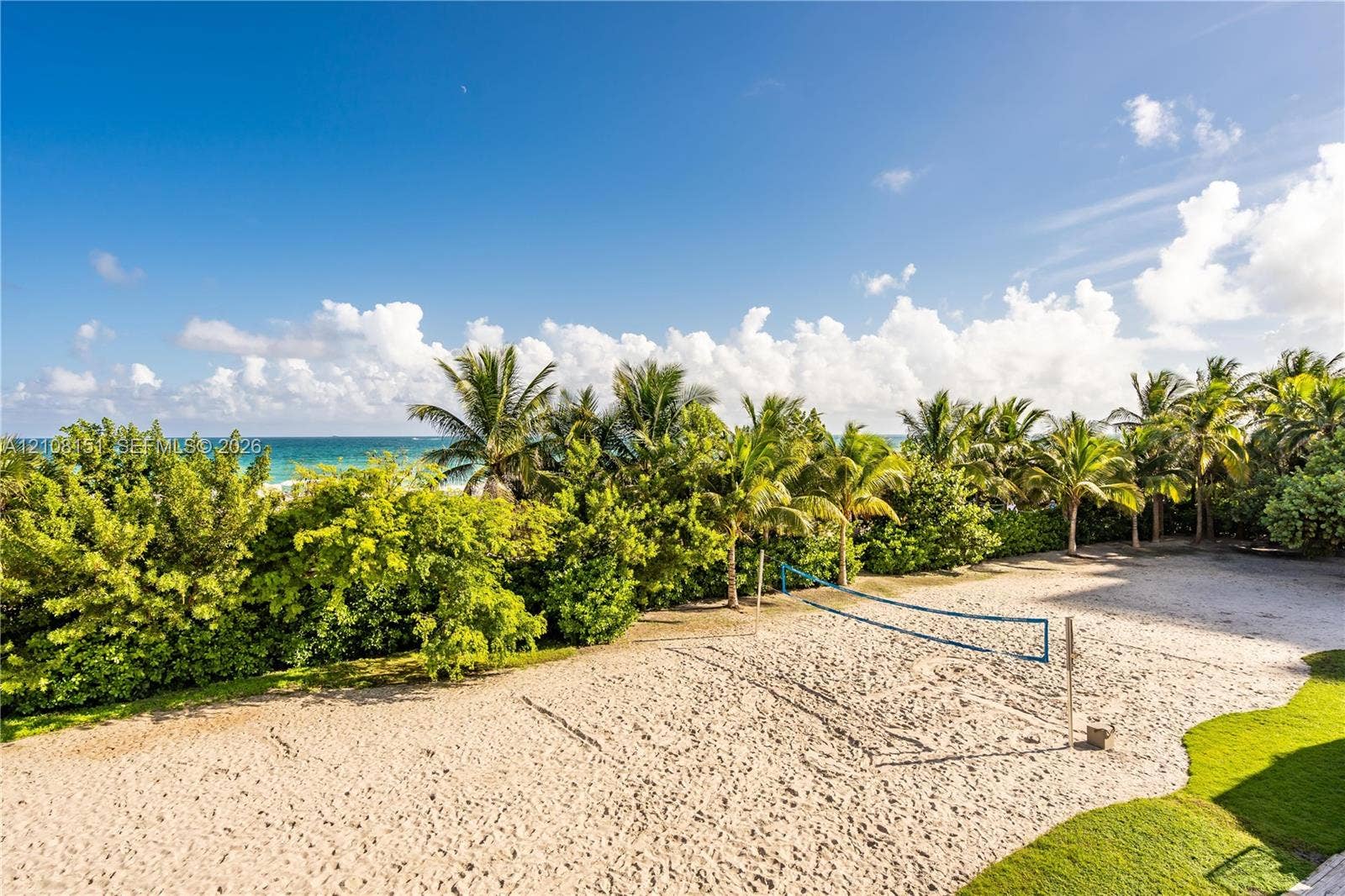 Sandy recreational court featuring a net, bordering lush tropical landscaping and mature palm trees